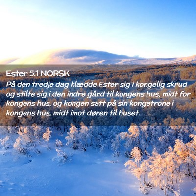 Picture 02 - Ester 5:1 NORSK - På den tredje dag klædde Ester sig i kongelig - Bible Verse Picture