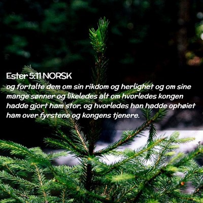 Picture 02 - Ester 5:11 NORSK - og fortalte dem om sin rikdom og herlighet og om - Bible Verse Picture