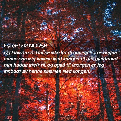 Picture 02 - Ester 5:12 NORSK - Og Haman sa: Heller ikke lot dronning Ester nogen - Bible Verse Picture