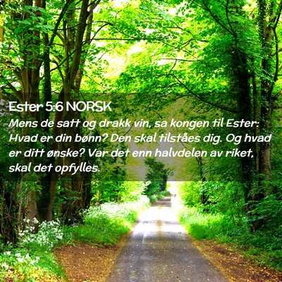 Picture 02 - Ester 5:6 NORSK - Mens de satt og drakk vin, sa kongen til Ester: - Bible Verse Picture