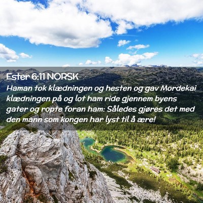 Picture 02 - Ester 6:11 NORSK - Haman tok klædningen og hesten og gav Mordekai - Bible Verse Picture