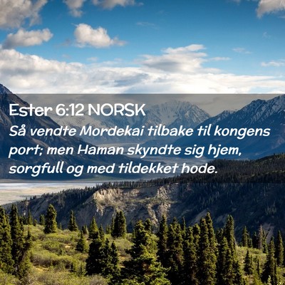 Picture 02 - Ester 6:12 NORSK - Så vendte Mordekai tilbake til kongens port; men - Bible Verse Picture