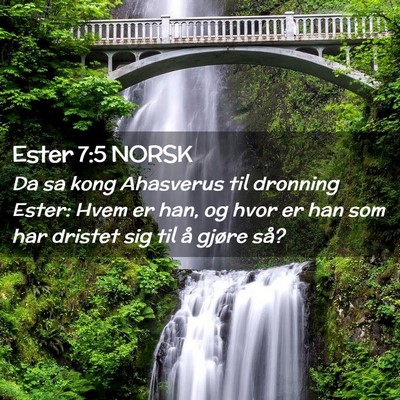 Picture 02 - Ester 7:5 NORSK - Da sa kong Ahasverus til dronning Ester: Hvem er - Bible Verse Picture