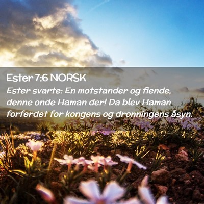 Picture 02 - Ester 7:6 NORSK - Ester svarte: En motstander og fiende, denne onde - Bible Verse Picture