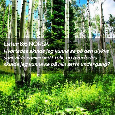 Picture 02 - Ester 8:6 NORSK - Hvorledes skulde jeg kunne se på den ulykke som - Bible Verse Picture
