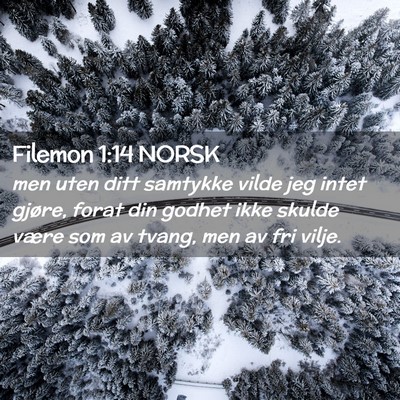 Picture 02 - Filemon 1:14 NORSK - men uten ditt samtykke vilde jeg intet gjøre, - Bible Verse Picture