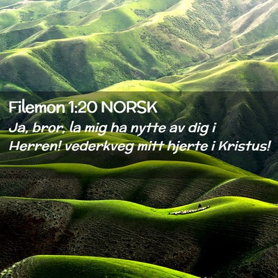 Picture 02 - Filemon 1:20 NORSK - Ja, bror, la mig ha nytte av dig i Herren! - Bible Verse Picture