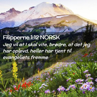Picture 02 - Filipperne 1:12 NORSK - Jeg vil at I skal vite, brødre, at det jeg har - Bible Verse Picture