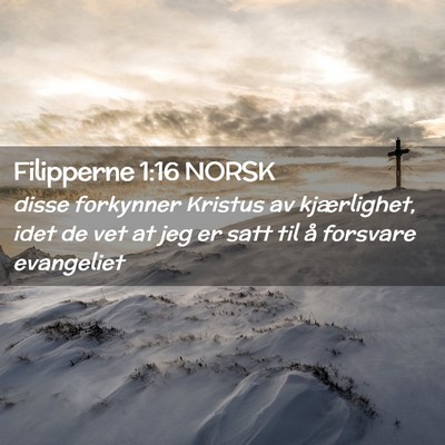 Picture 02 - Filipperne 1:16 NORSK - disse forkynner Kristus av kjærlighet, idet de - Bible Verse Picture