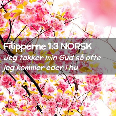 Picture 02 - Filipperne 1:3 NORSK - Jeg takker min Gud så ofte jeg kommer eder i - Bible Verse Picture