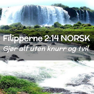 Picture 02 - Filipperne 2:14 NORSK - Gjør alt uten knurr og - Bible Verse Picture