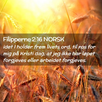 Picture 02 - Filipperne 2:16 NORSK - idet I holder frem livets ord, til ros for mig - Bible Verse Picture