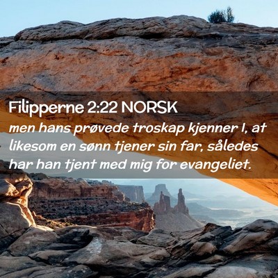Picture 02 - Filipperne 2:22 NORSK - men hans prøvede troskap kjenner I, at likesom - Bible Verse Picture