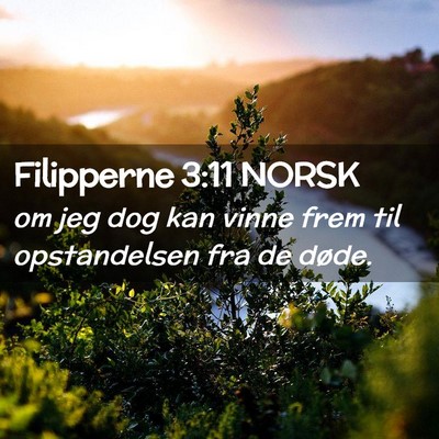Picture 02 - Filipperne 3:11 NORSK - om jeg dog kan vinne frem til opstandelsen fra de - Bible Verse Picture