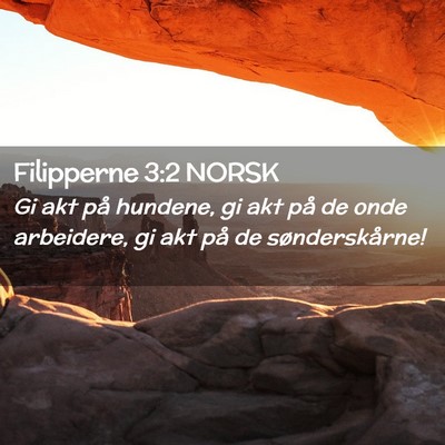 Picture 02 - Filipperne 3:2 NORSK - Gi akt på hundene, gi akt på de onde arbeidere, - Bible Verse Picture
