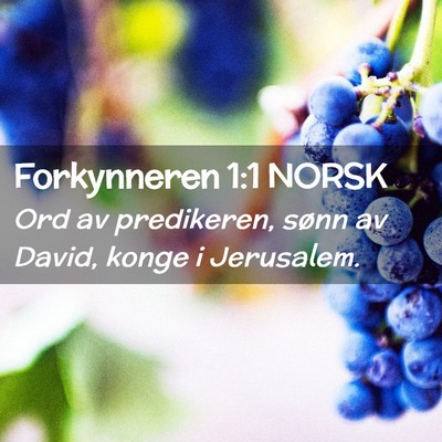 Picture 02 - Forkynneren 1:1 NORSK - Ord av predikeren, sønn av David, konge i - Bible Verse Picture