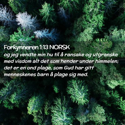 Picture 02 - Forkynneren 1:13 NORSK - og jeg vendte min hu til å ransake og utgranske - Bible Verse Picture