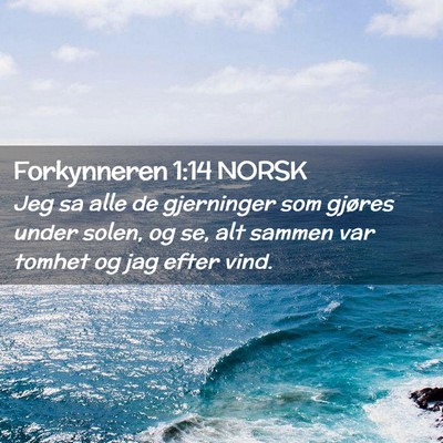 Picture 02 - Forkynneren 1:14 NORSK - Jeg sa alle de gjerninger som gjøres under - Bible Verse Picture