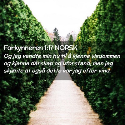 Picture 02 - Forkynneren 1:17 NORSK - Og jeg vendte min hu til å kjenne visdommen og - Bible Verse Picture