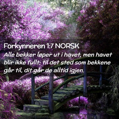 Picture 02 - Forkynneren 1:7 NORSK - Alle bekker løper ut i havet, men havet blir - Bible Verse Picture