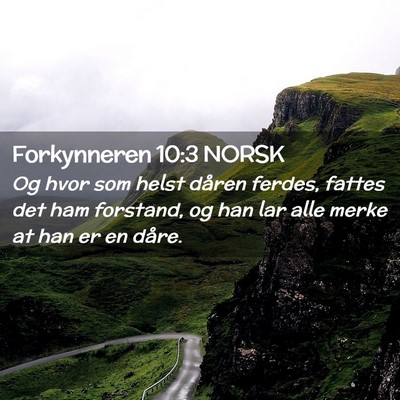 Picture 02 - Forkynneren 10:3 NORSK - Og hvor som helst dåren ferdes, fattes det ham - Bible Verse Picture