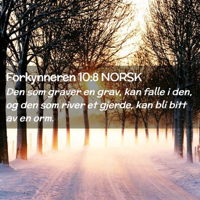 Picture 02 - Forkynneren 10:8 NORSK - Den som graver en grav, kan falle i den, og den - Bible Verse Picture