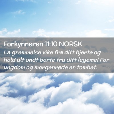 Picture 02 - Forkynneren 11:10 NORSK - La gremmelse vike fra ditt hjerte og hold alt - Bible Verse Picture