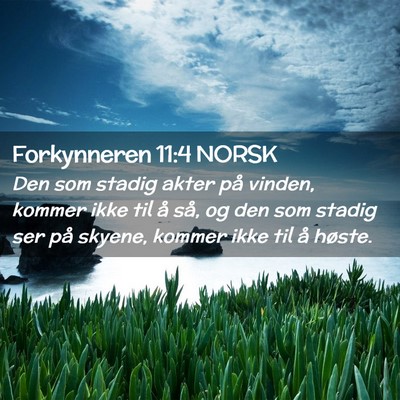 Picture 02 - Forkynneren 11:4 NORSK - Den som stadig akter på vinden, kommer ikke til - Bible Verse Picture