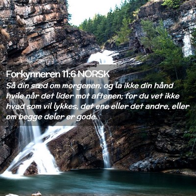 Picture 02 - Forkynneren 11:6 NORSK - Så din sæd om morgenen, og la ikke din hånd - Bible Verse Picture