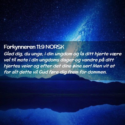 Picture 02 - Forkynneren 11:9 NORSK - Gled dig, du unge, i din ungdom og la ditt hjerte - Bible Verse Picture