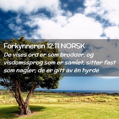 Picture 02 - Forkynneren 12:11 NORSK - De vises ord er som brodder, og visdomssprog som - Bible Verse Picture
