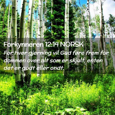 Picture 02 - Forkynneren 12:14 NORSK - For hver gjerning vil Gud føre frem for dommen - Bible Verse Picture