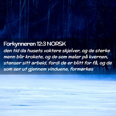 Picture 02 - Forkynneren 12:3 NORSK - den tid da husets voktere skjelver, og de sterke - Bible Verse Picture