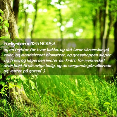 Picture 02 - Forkynneren 12:5 NORSK - og en frykter for hver bakke, og det lurer - Bible Verse Picture