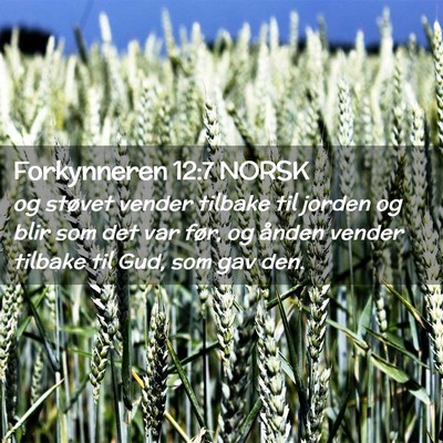 Picture 02 - Forkynneren 12:7 NORSK - og støvet vender tilbake til jorden og blir som - Bible Verse Picture