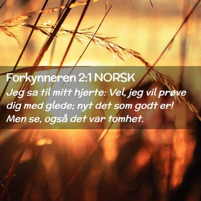 Picture 02 - Forkynneren 2:1 NORSK - Jeg sa til mitt hjerte: Vel, jeg vil prøve dig - Bible Verse Picture