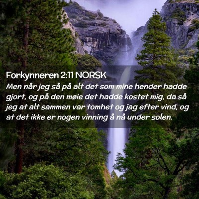 Picture 02 - Forkynneren 2:11 NORSK - Men når jeg så på alt det som mine hender - Bible Verse Picture
