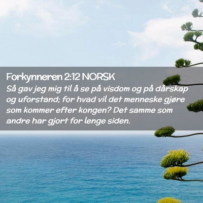 Picture 02 - Forkynneren 2:12 NORSK - Så gav jeg mig til å se på visdom og på - Bible Verse Picture