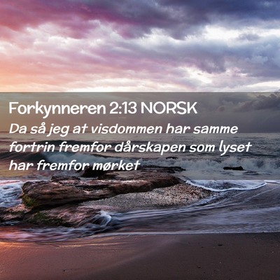 Picture 02 - Forkynneren 2:13 NORSK - Da så jeg at visdommen har samme fortrin fremfor - Bible Verse Picture