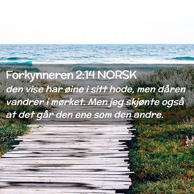 Picture 02 - Forkynneren 2:14 NORSK - den vise har øine i sitt hode, men dåren - Bible Verse Picture