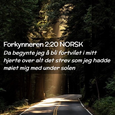 Picture 02 - Forkynneren 2:20 NORSK - Da begynte jeg å bli fortvilet i mitt hjerte - Bible Verse Picture