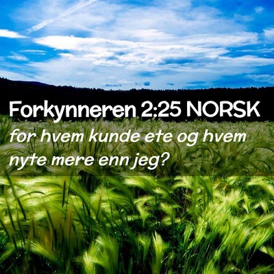 Picture 02 - Forkynneren 2:25 NORSK - for hvem kunde ete og hvem nyte mere enn - Bible Verse Picture
