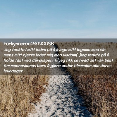 Picture 02 - Forkynneren 2:3 NORSK - Jeg tenkte i mitt indre på å kvege mitt legeme - Bible Verse Picture