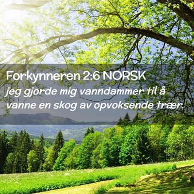 Picture 02 - Forkynneren 2:6 NORSK - jeg gjorde mig vanndammer til å vanne en skog av - Bible Verse Picture