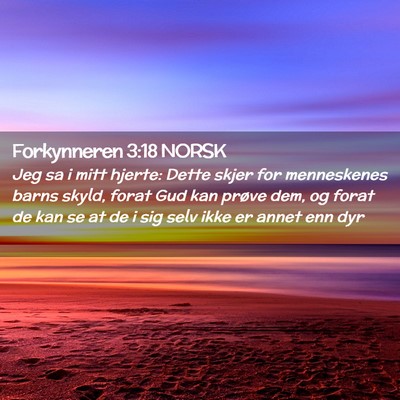 Picture 02 - Forkynneren 3:18 NORSK - Jeg sa i mitt hjerte: Dette skjer for menneskenes - Bible Verse Picture