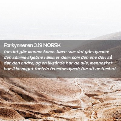 Picture 02 - Forkynneren 3:19 NORSK - for det går menneskenes barn som det går - Bible Verse Picture