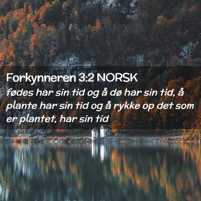 Picture 02 - Forkynneren 3:2 NORSK - fødes har sin tid og å dø har sin tid, å - Bible Verse Picture