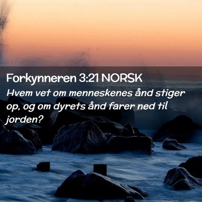 Picture 02 - Forkynneren 3:21 NORSK - Hvem vet om menneskenes ånd stiger op, og om - Bible Verse Picture