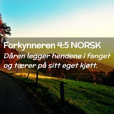 Picture 02 - Forkynneren 4:5 NORSK - Dåren legger hendene i fanget og tærer på sitt - Bible Verse Picture