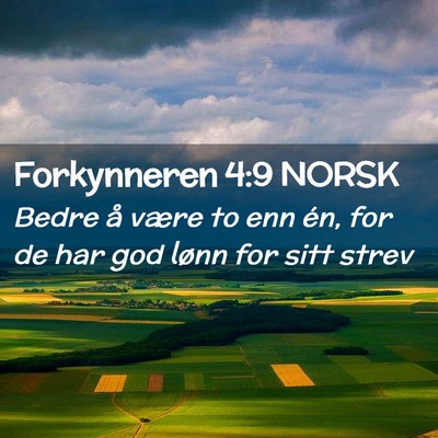 Picture 02 - Forkynneren 4:9 NORSK - Bedre å være to enn én, for de har god lønn - Bible Verse Picture